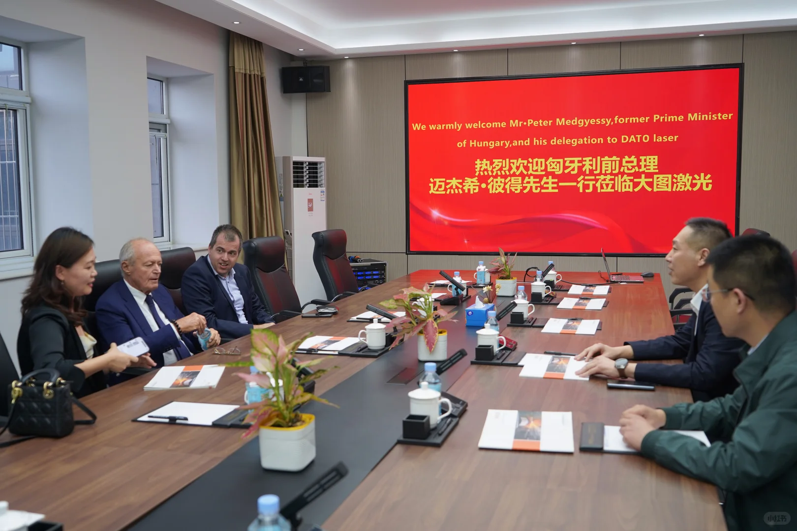 热诚欢迎匈牙利前总理莅临大图激光