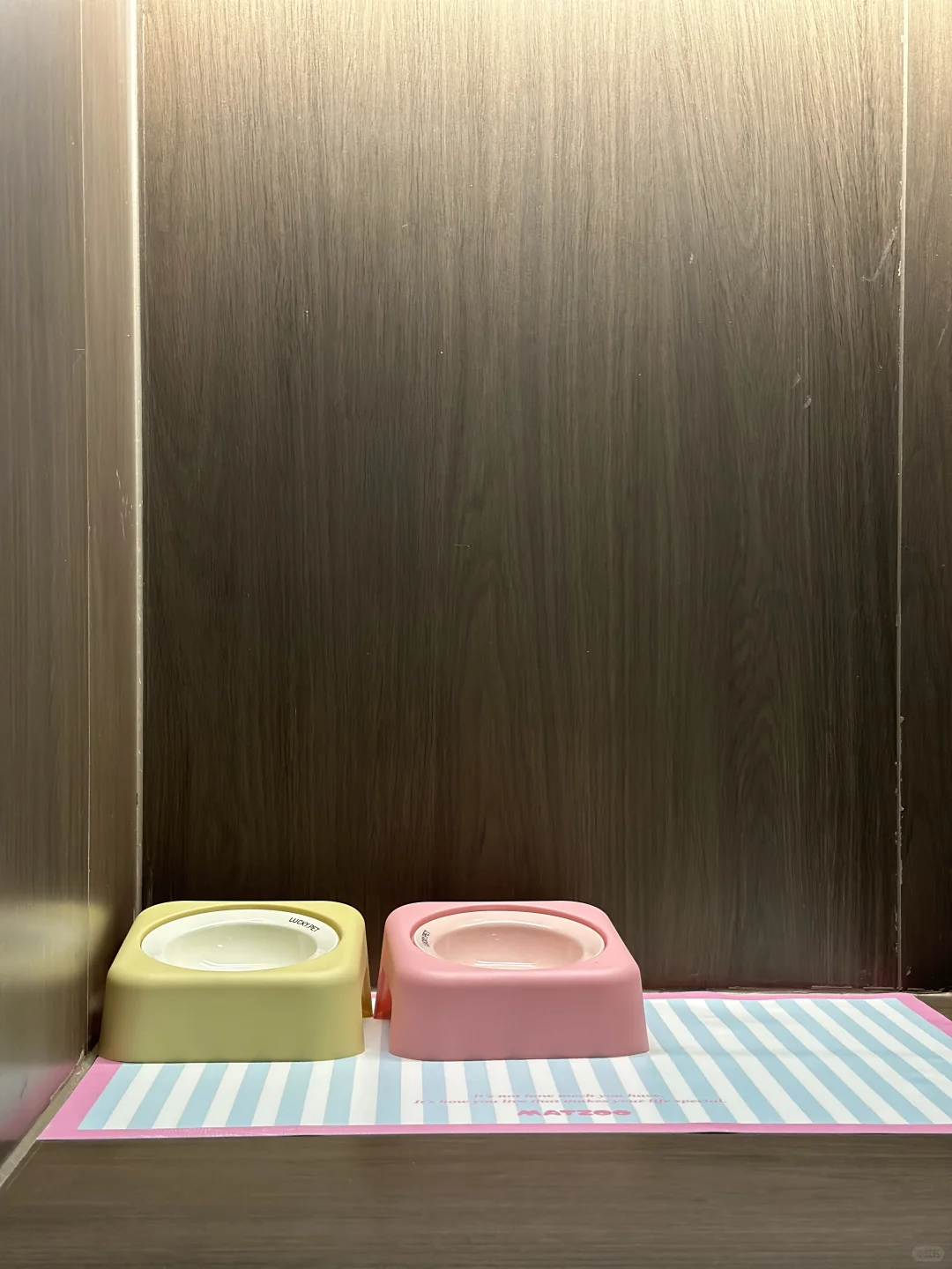 一家宠物店 求货源