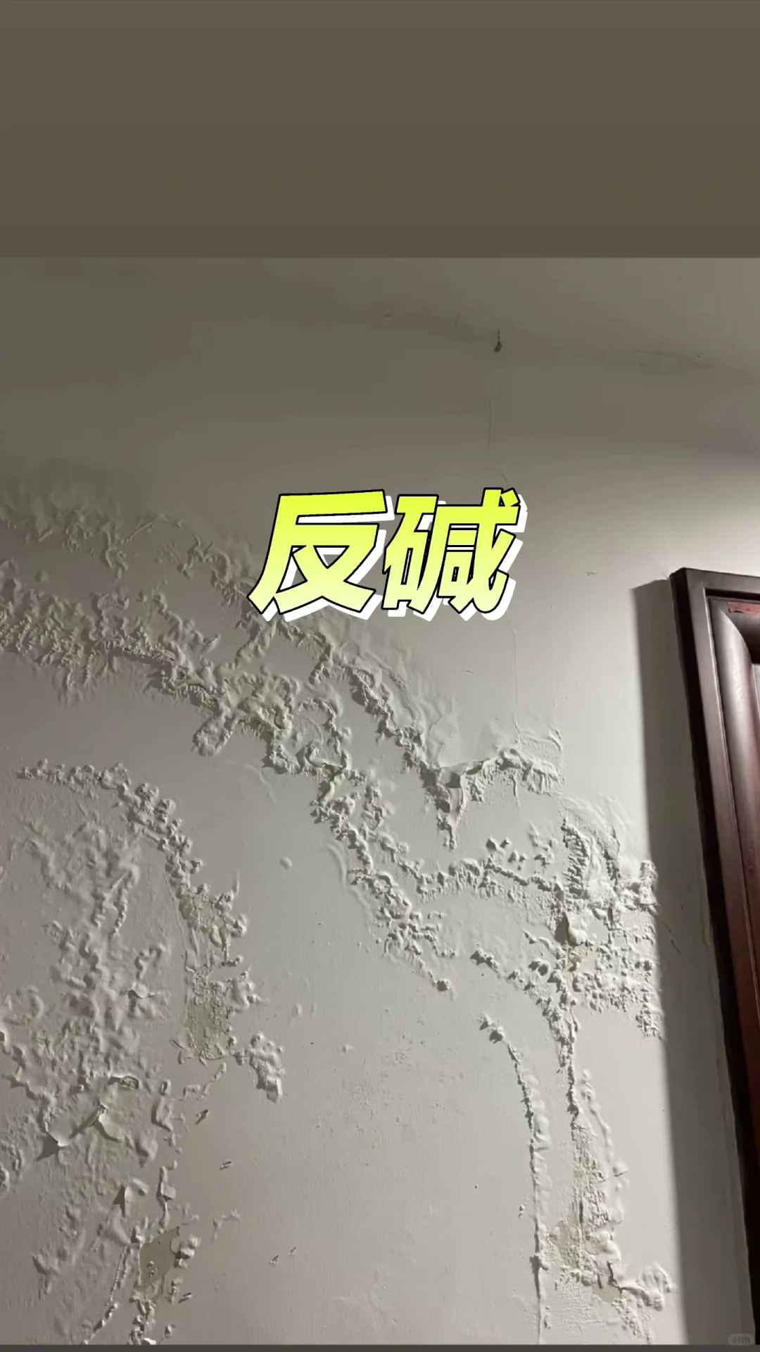 看完这片轻松解决墙面六种问题