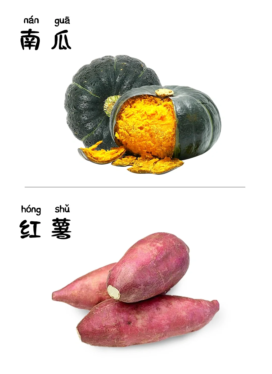 儿童早教启蒙识图-蔬菜