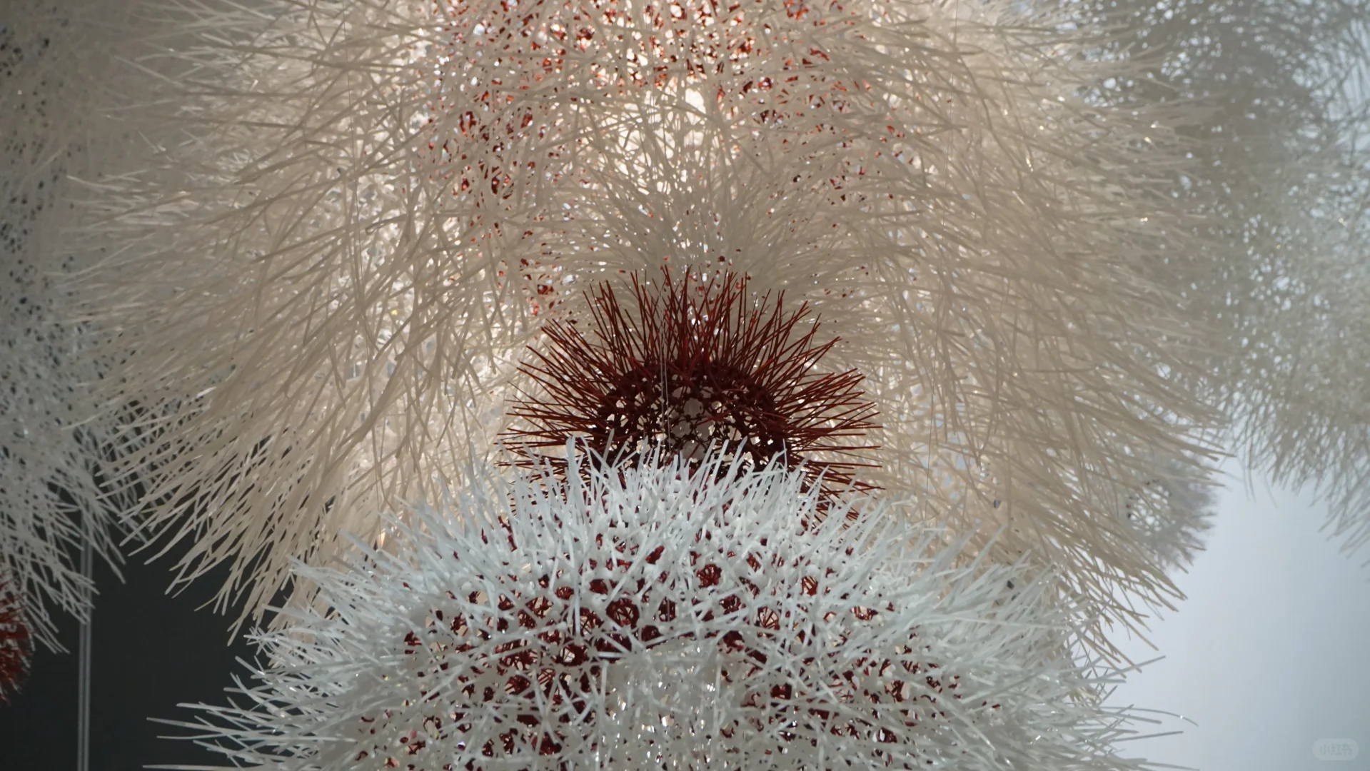 小红书线上毕业展 | 返照