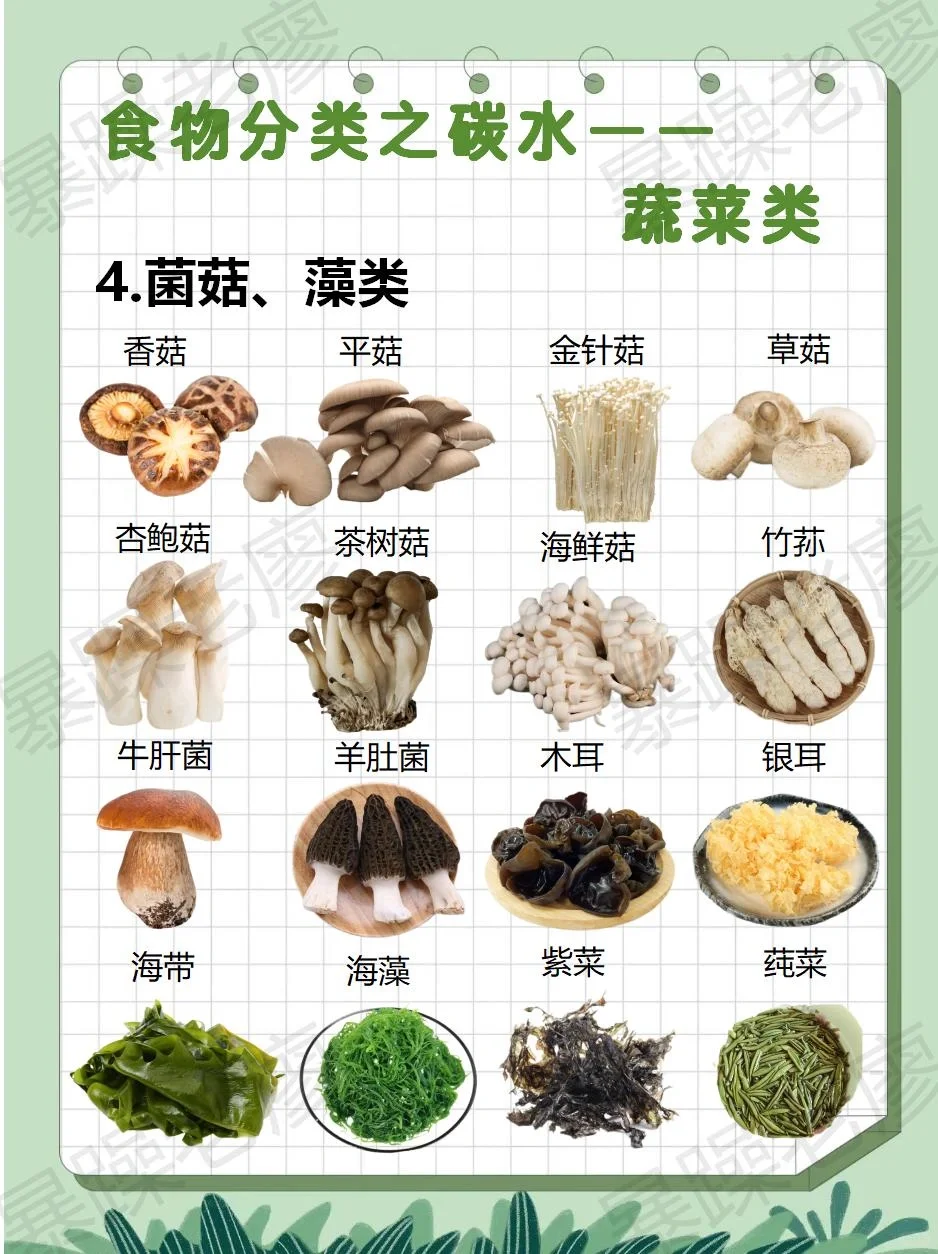 食物分类2-蔬菜（附日常安排要点）