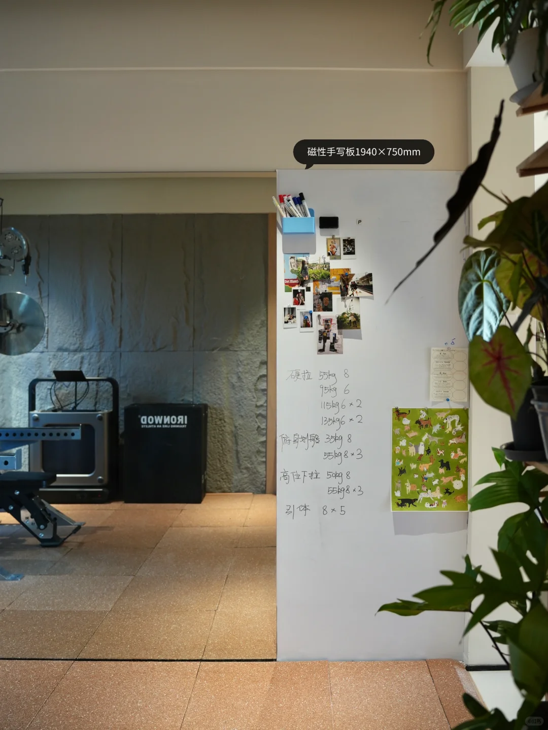 被10万人围观的家庭健身房?布局+器材清单