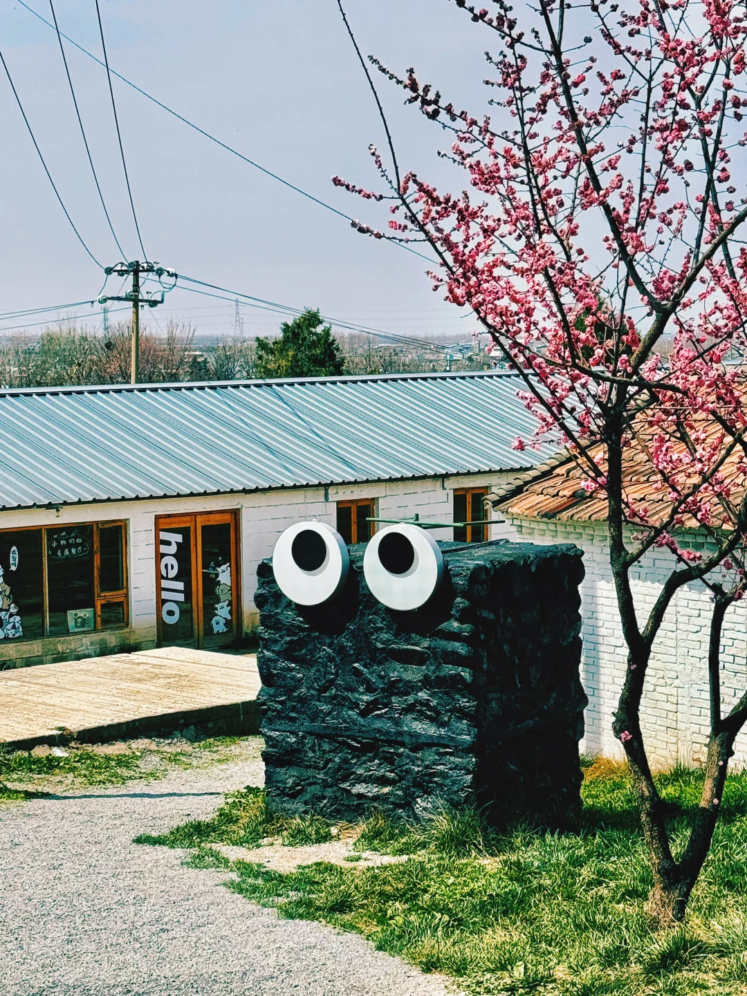 周末去哪|西安周边|超“减压”的city walk!