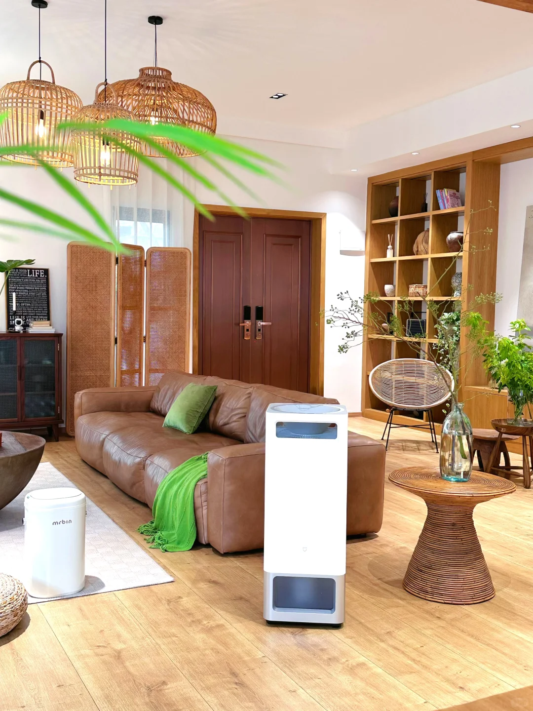 秋冬晨起喉咙干到疼?得先从空气入手