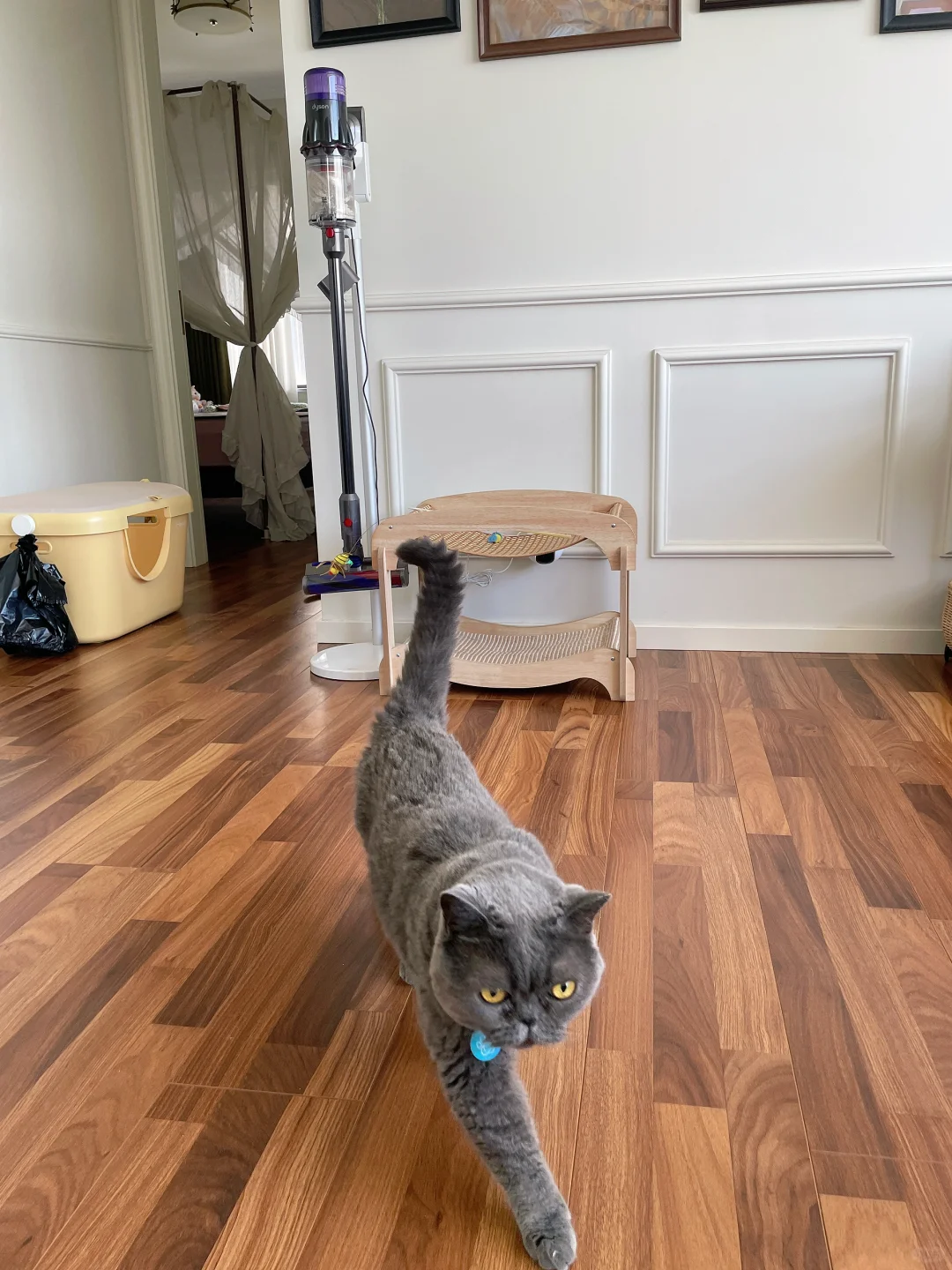 ?周末治愈系整理术|清空杂物也清空烦恼✨