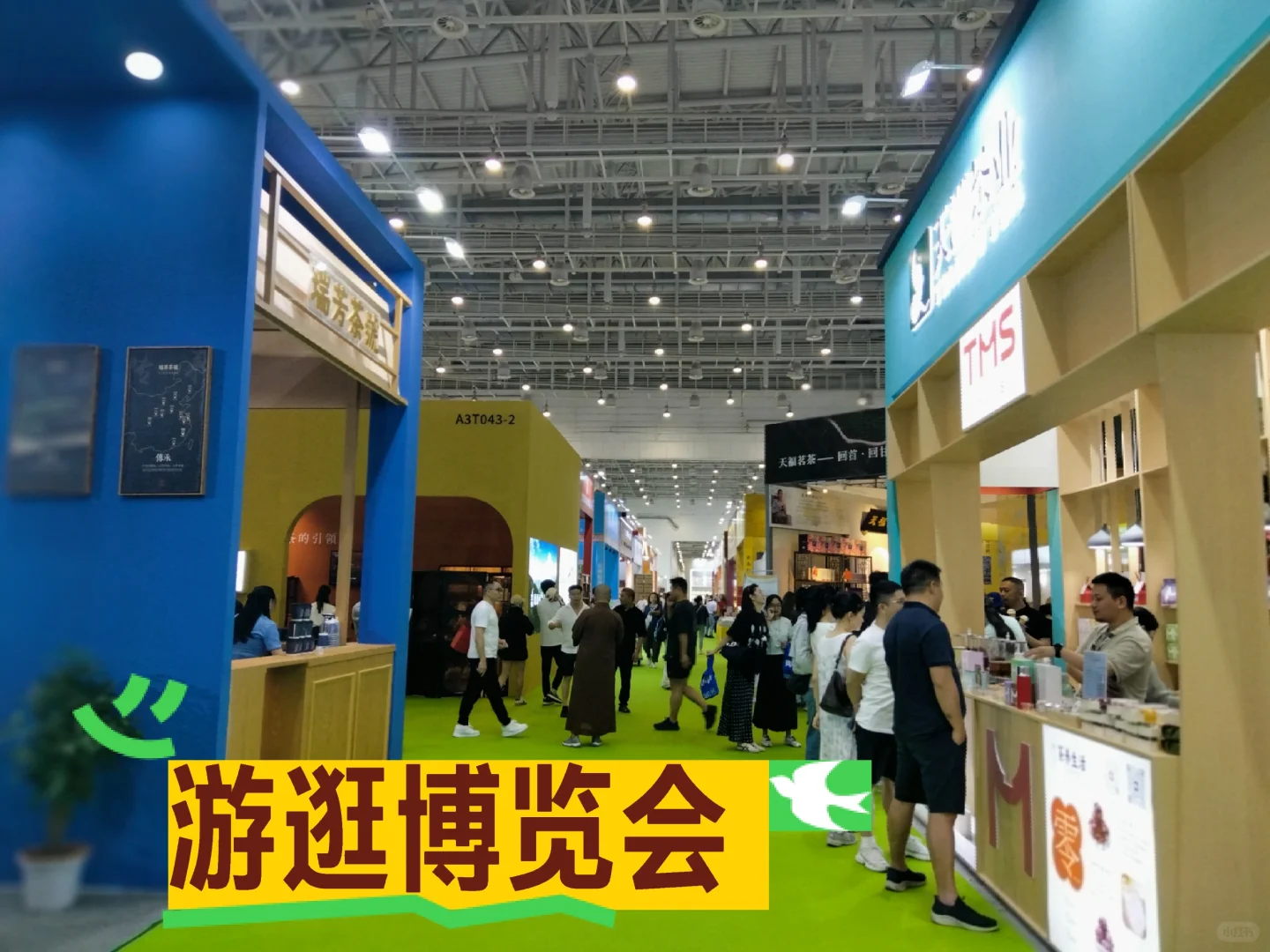 初次游逛博览会