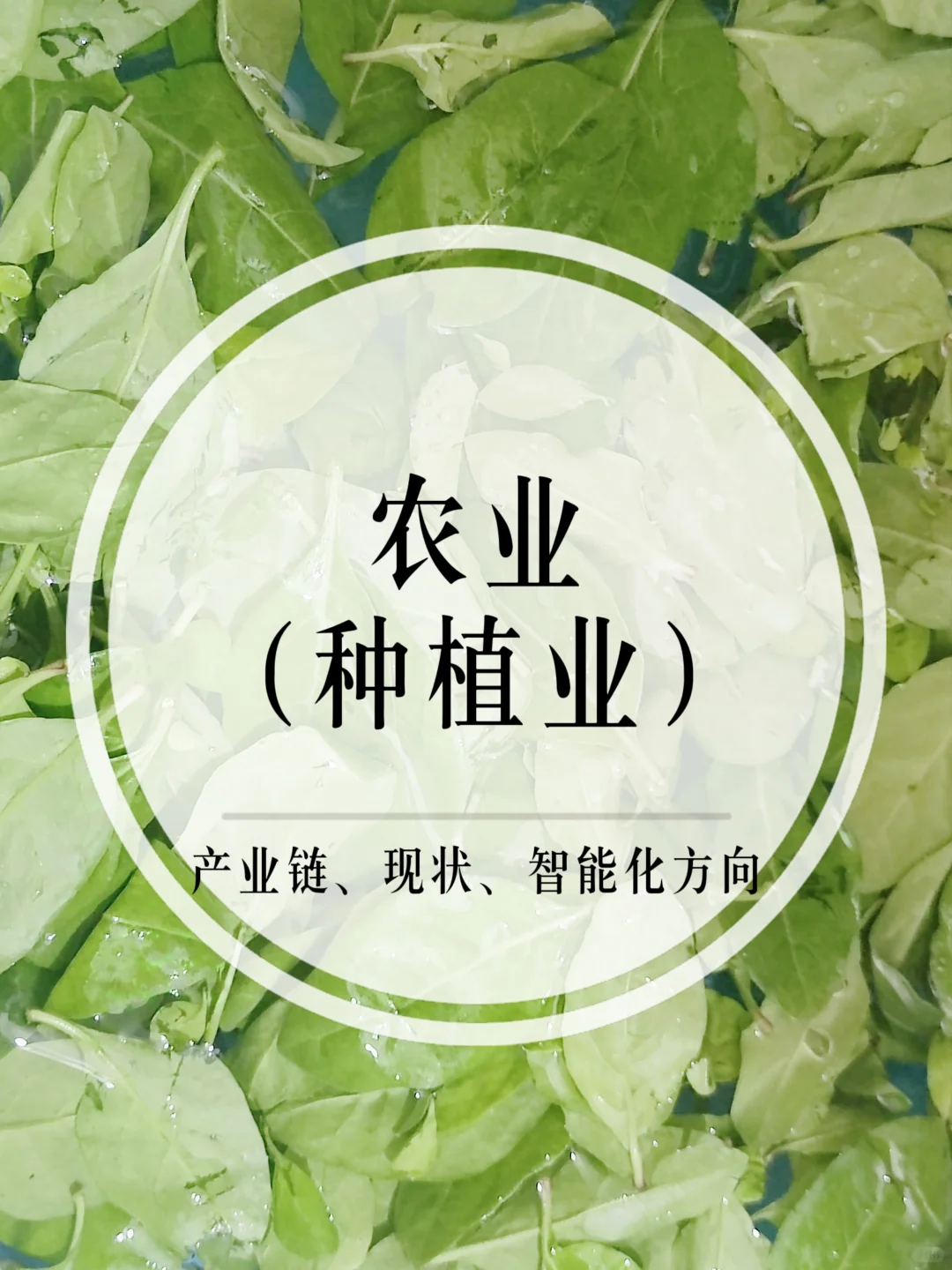 农业(种植业)的产业链、现状、智能化方向