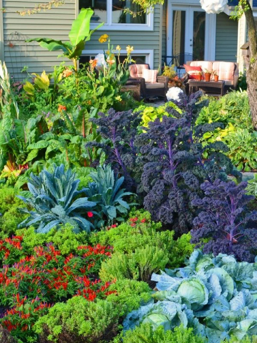 14个缤纷可食花园场景·蔬菜搭配美学