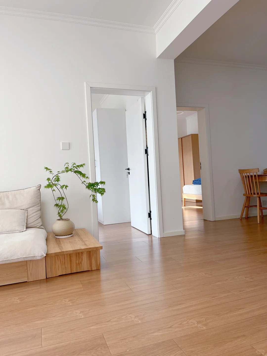 家净则心安|少物则心静