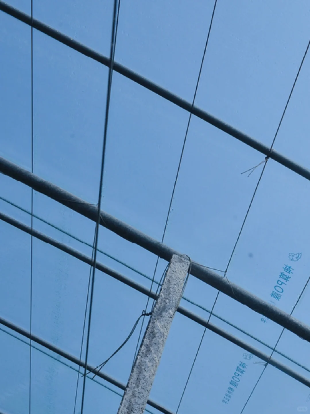 PE膜上吹法工艺详解，掌握薄膜生产关键