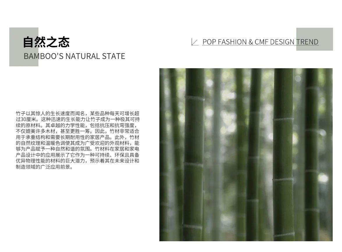 可持续设计趋势|寻竹开物