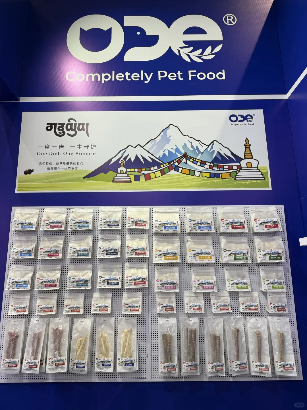 望果·འོང་སྐོར། Upet首展