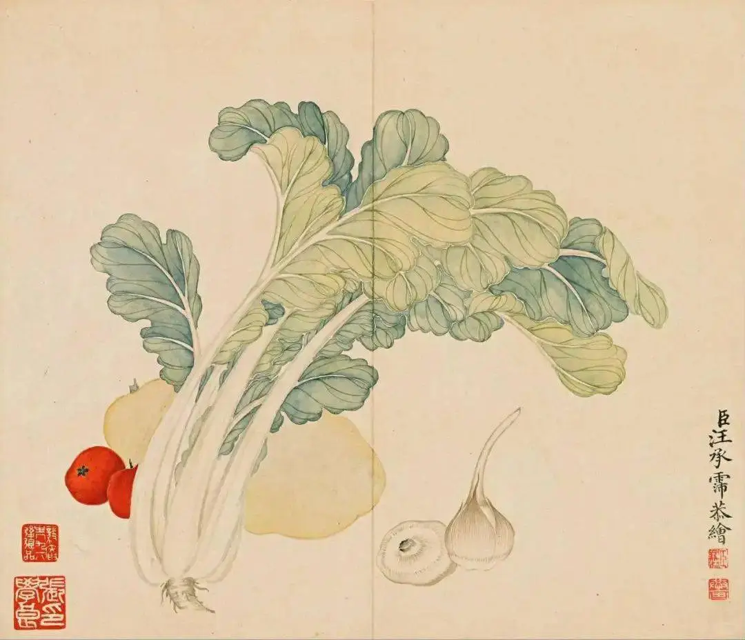 清｜汪承霈｜果蔬杂卉册