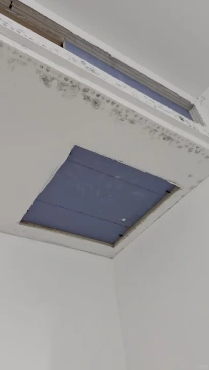 长期下雨墙面发霉如何处理呢