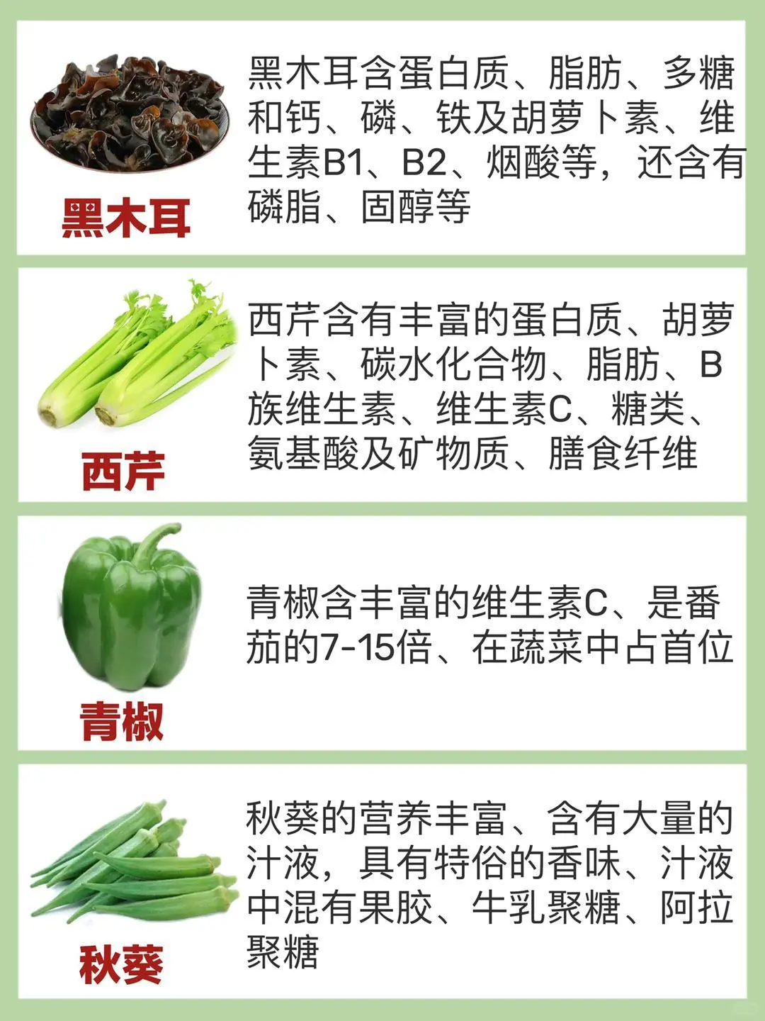 应季蔬菜时间表