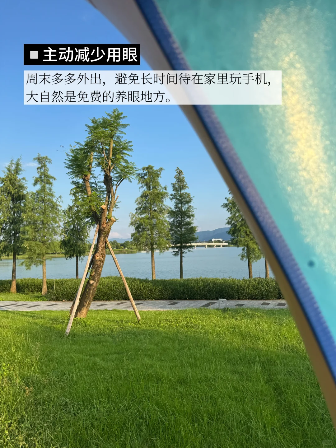 30+清醒健康观:4个高反馈的迷你养生法