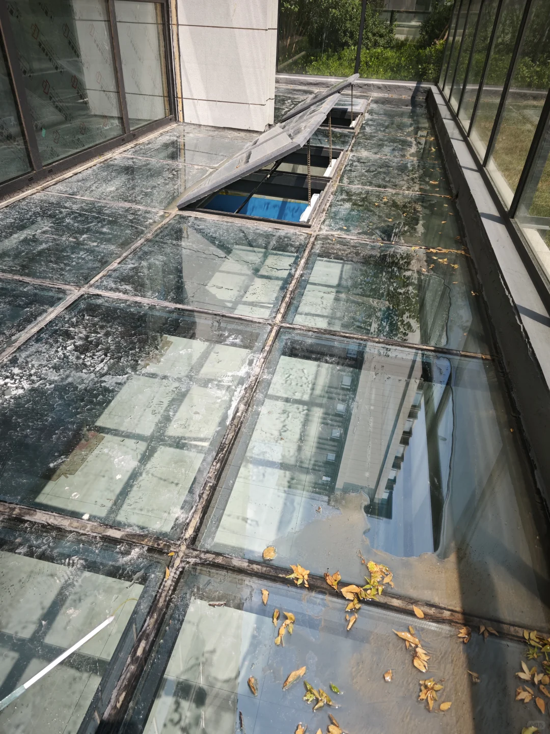 这个玻璃屋顶真是惊艳到了！