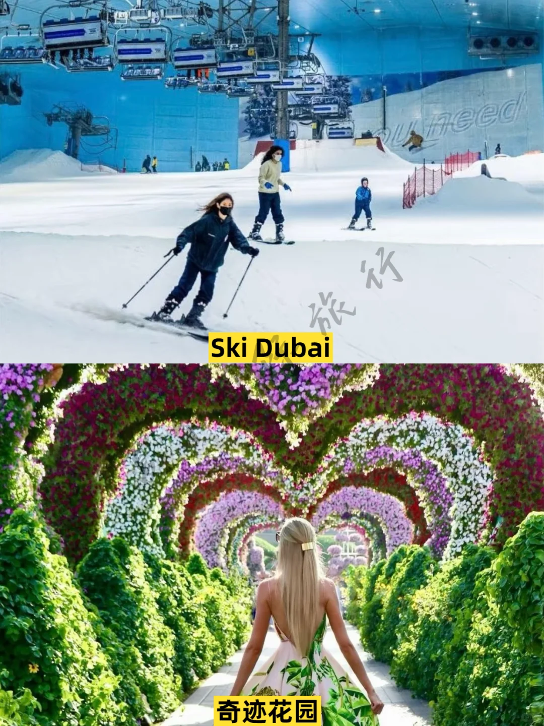 迪拜全境包车攻略‼️