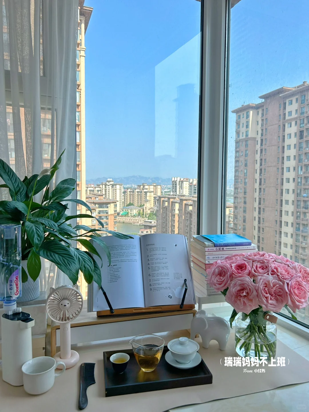 36岁,家是我的能量场,独处是灵魂的充电站✨