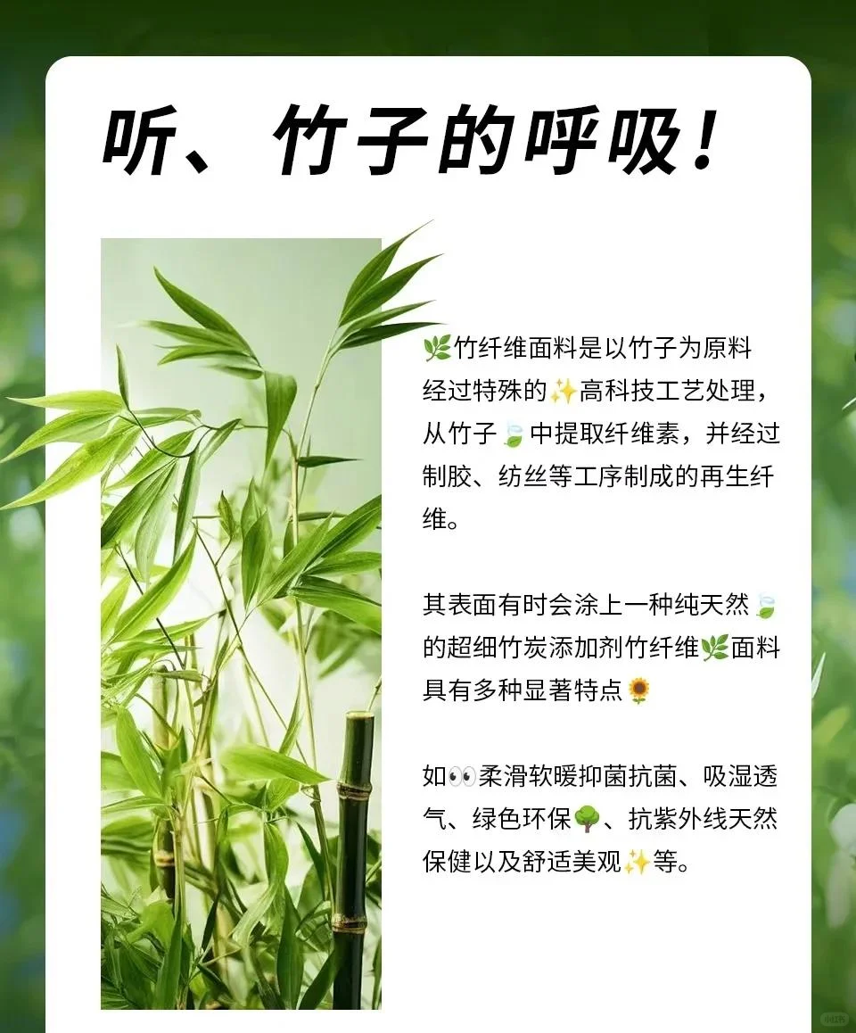 吃竹子的呼吸竹纤维，太舒服了