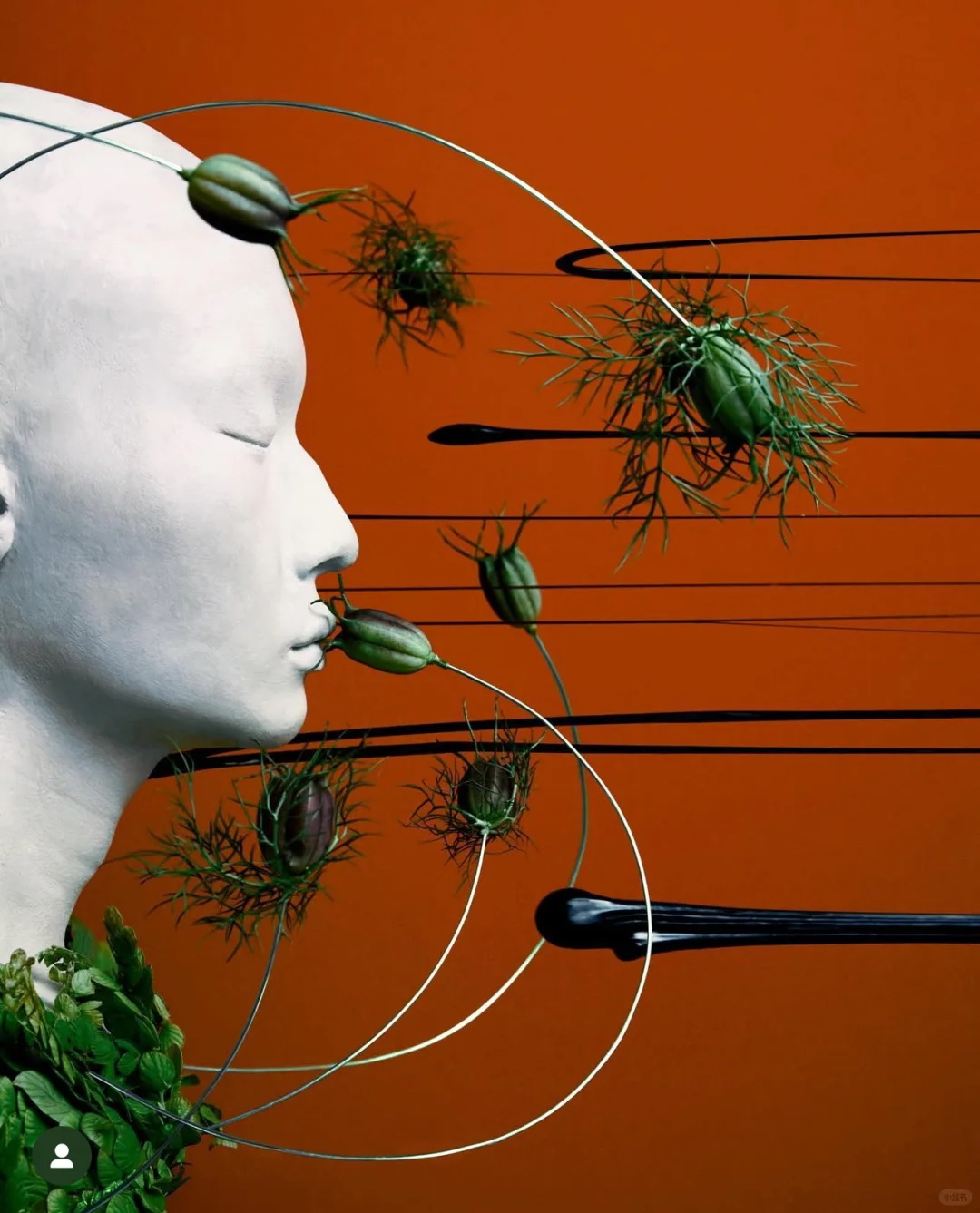 审美积累|把「束缚与生长」拍进了时尚的骨血