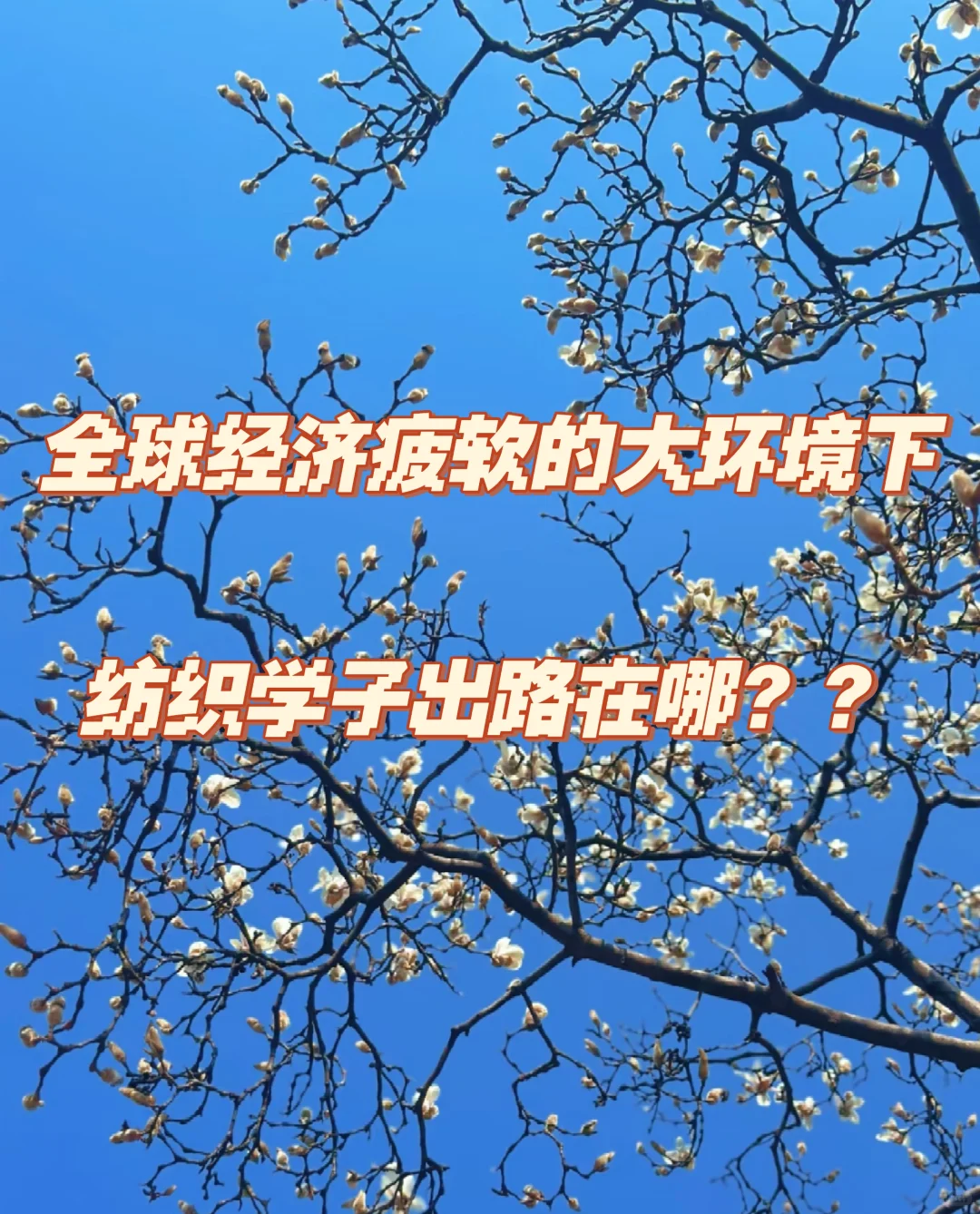 纺织工程的宝子进来看