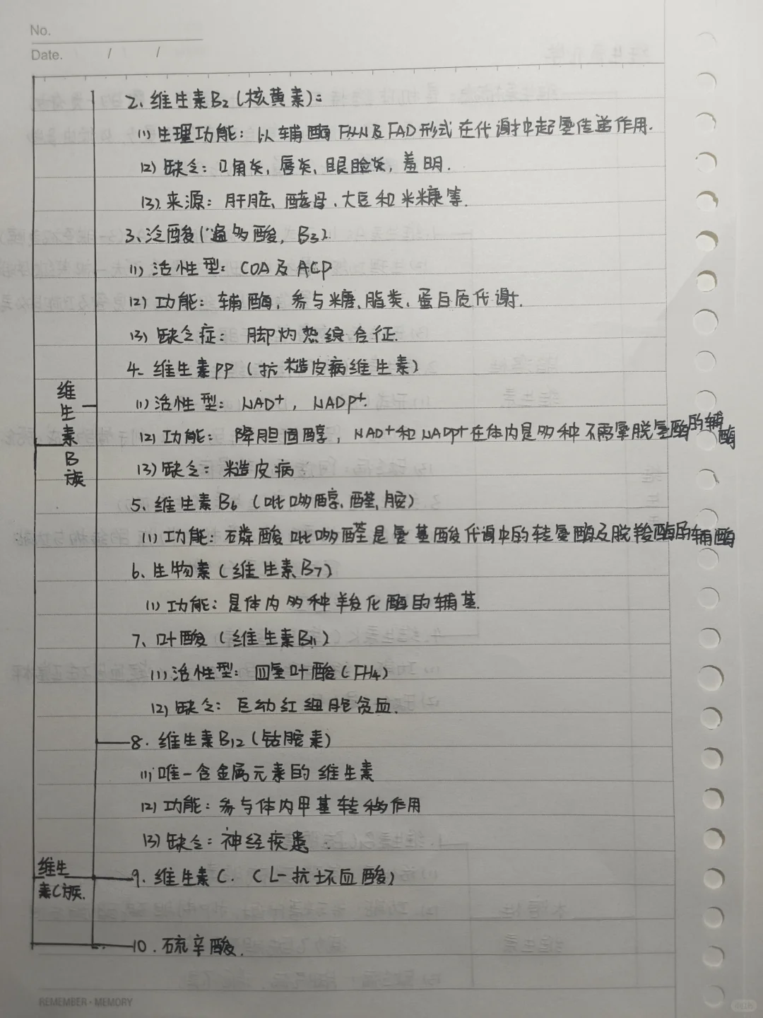 生化笔记——维生素化学