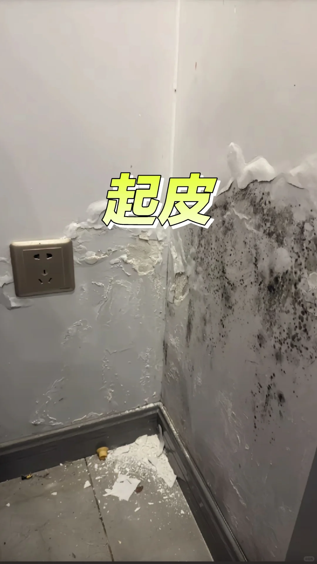 看完这片轻松解决墙面六种问题