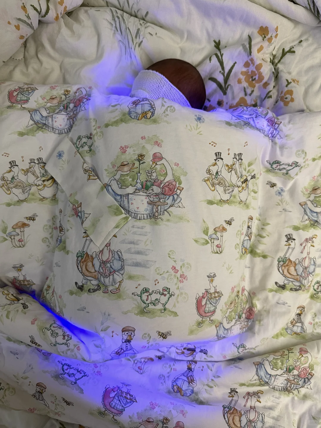 医小租-蓝光毯黄疸检测仪打卡第一天