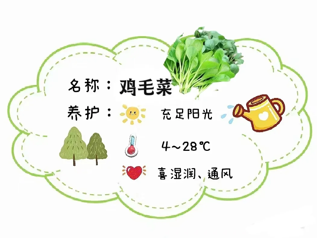 蔬菜养护招牌