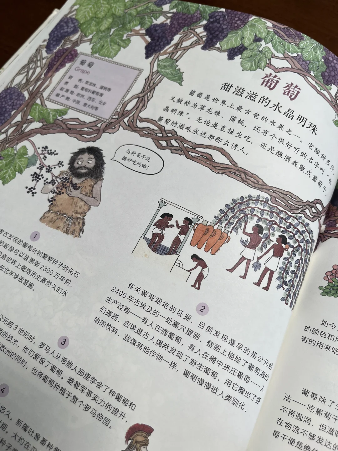 非常棒的一本作物科普书,中餐的秘密在这里