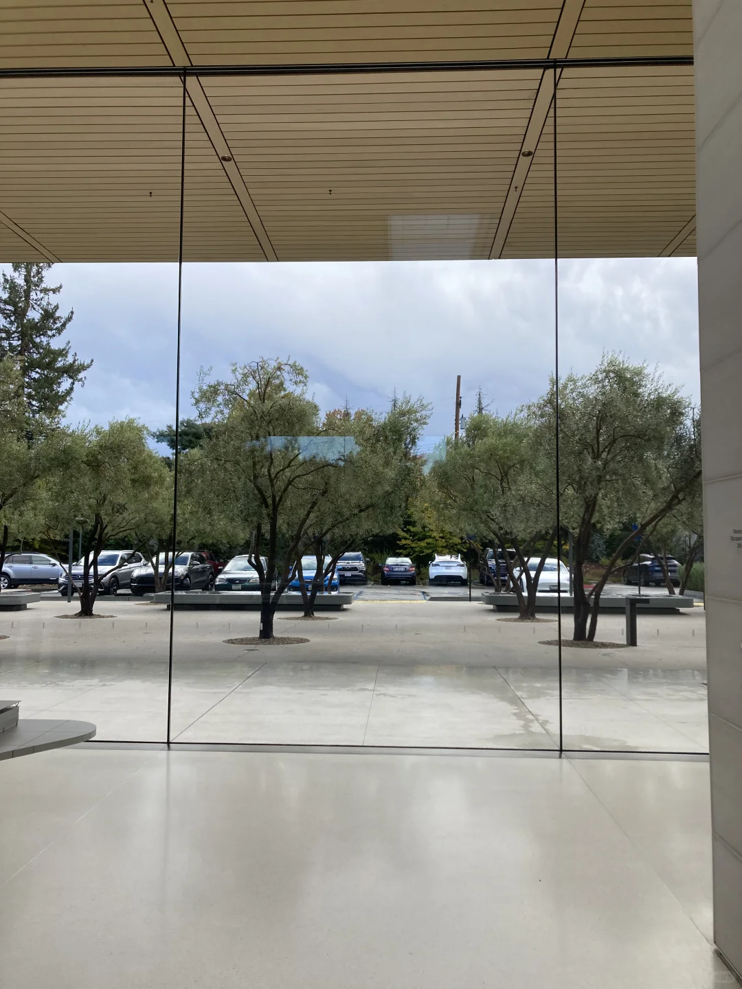 关于苹果总部的无框玻璃