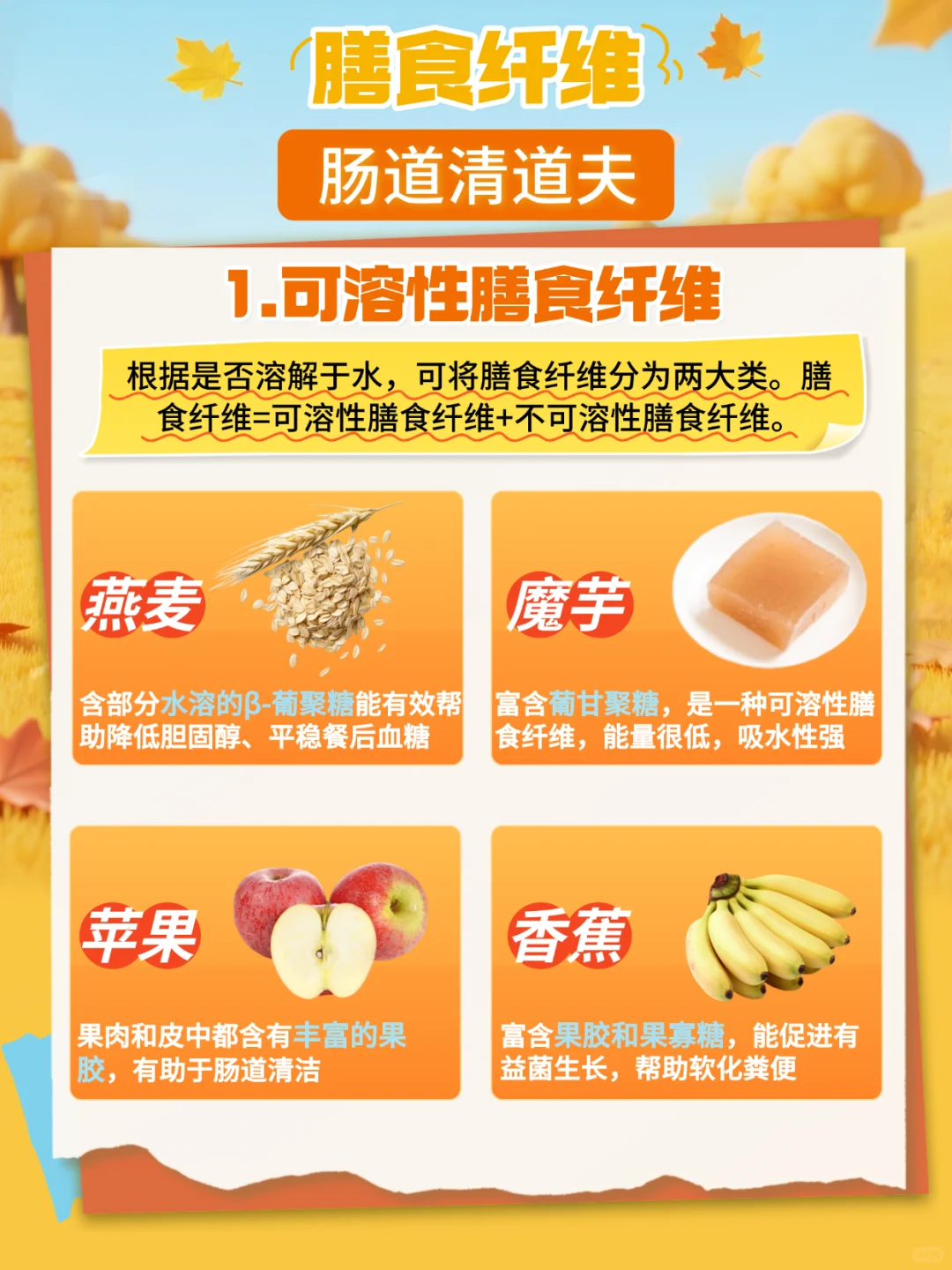 膳食纤维???肠道清道夫