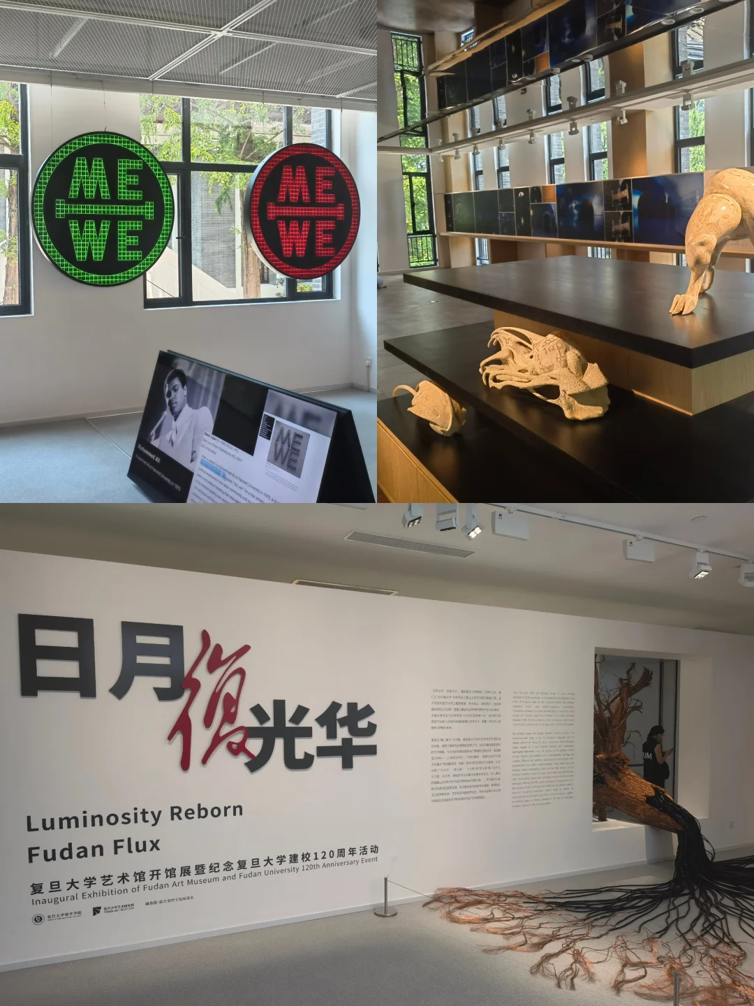 复旦百廿校庆——复旦源