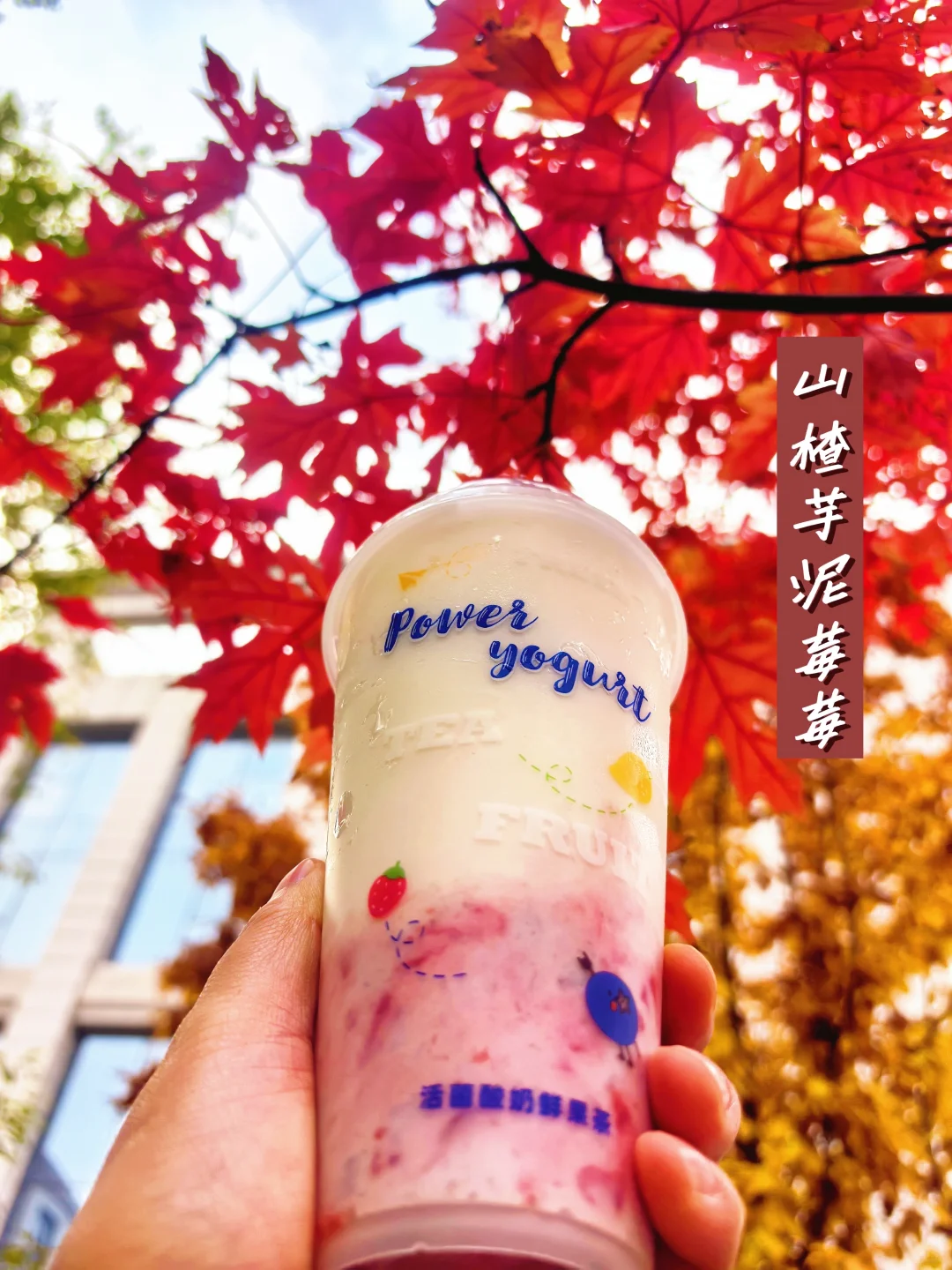 牧场能量 山楂芋泥莓莓