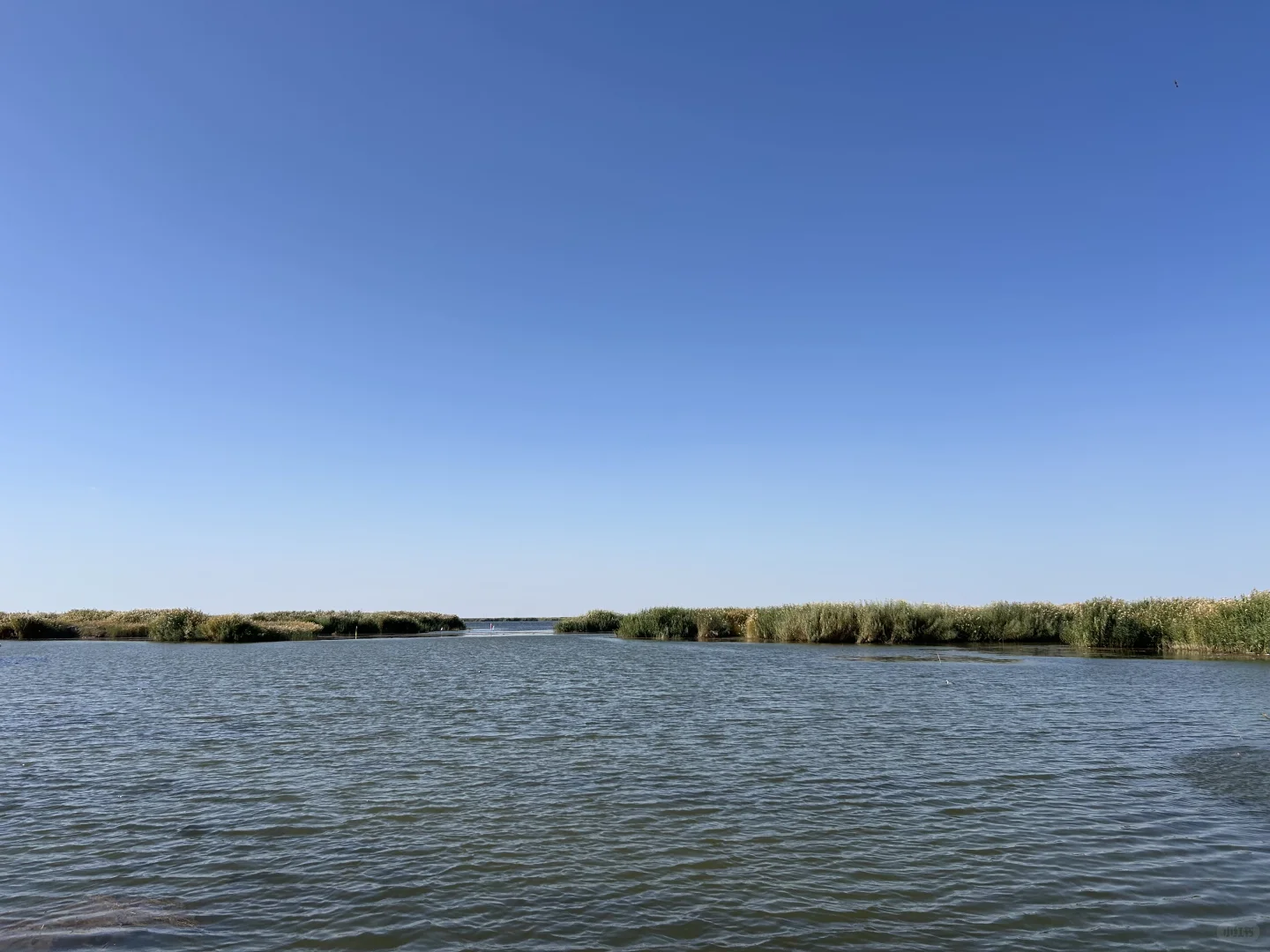 乌梁素海(内蒙·巴彦淖尔·乌拉特前旗)