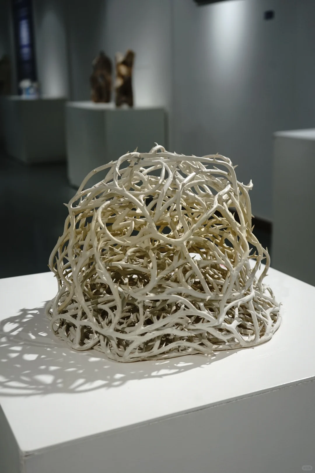 用陶瓷、玻璃做创作的2024年