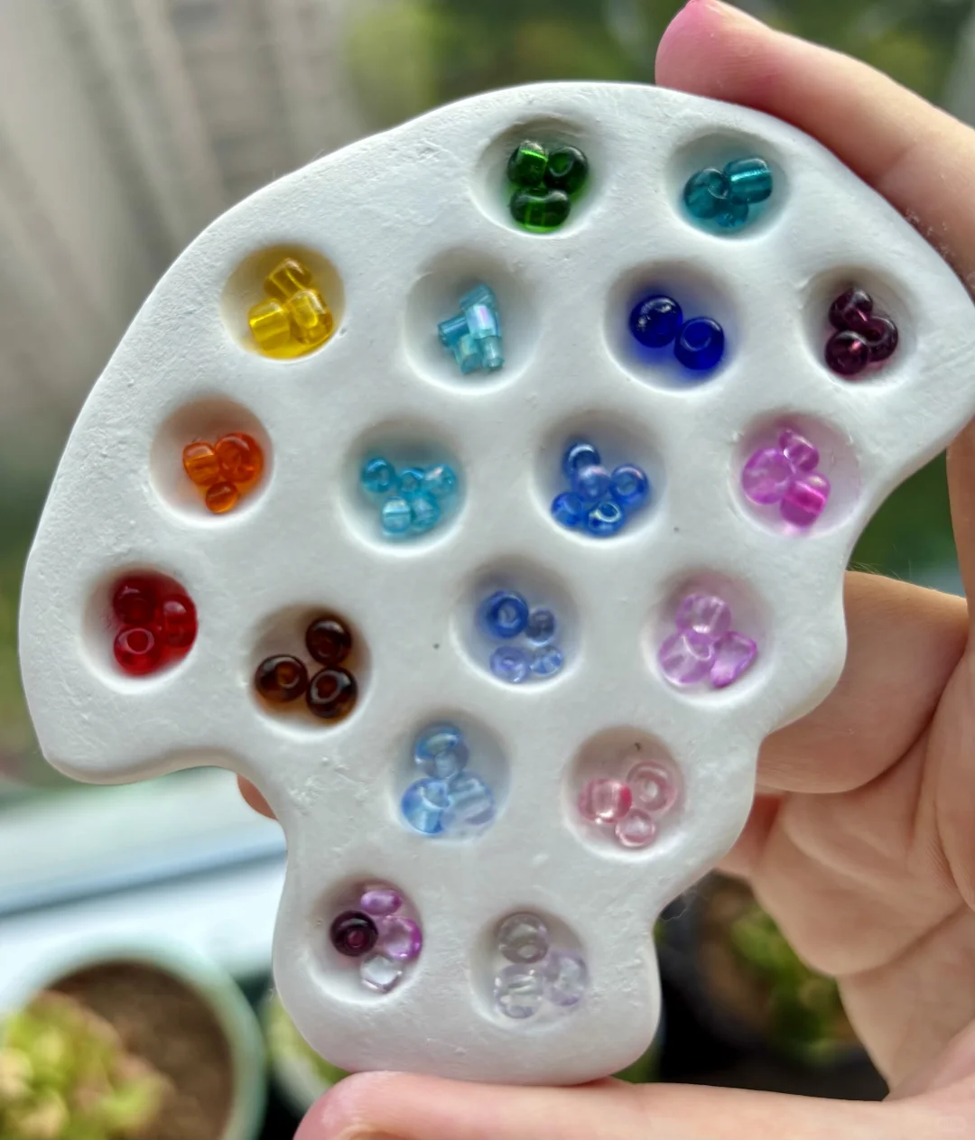 陶瓷+玻璃试片烧前烧后