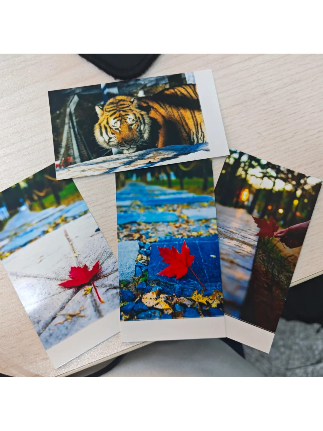 宝丽来便携照片打印机+柯达相纸调色教程