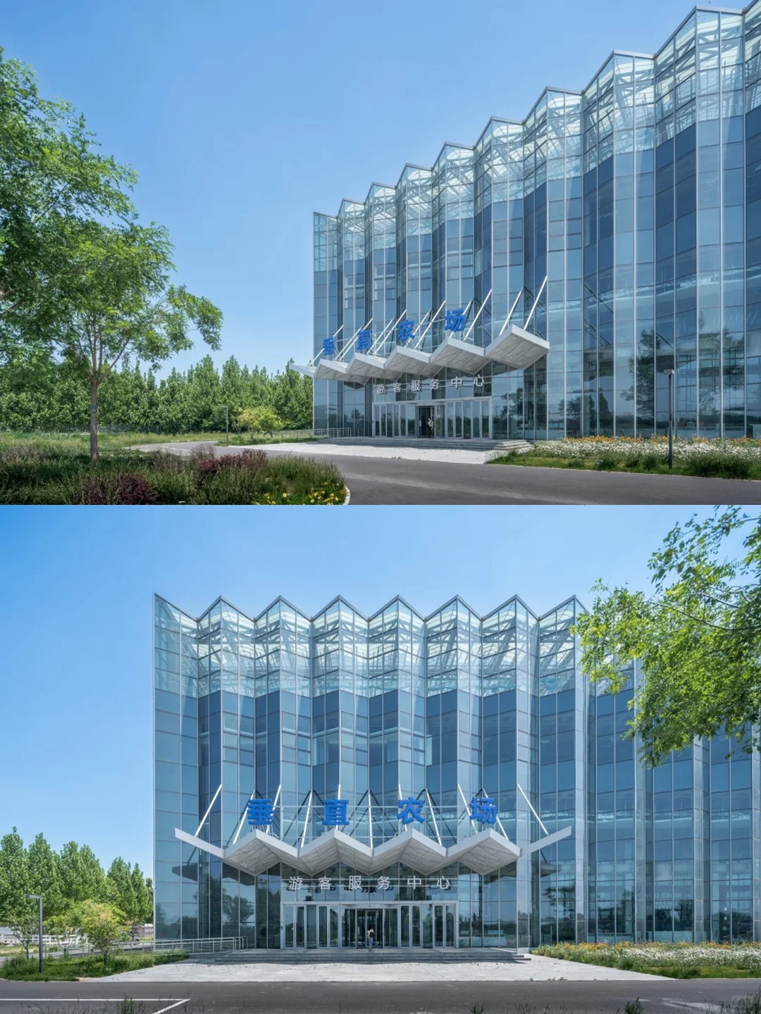 折叠玻璃立面?都市农业的未来长这样