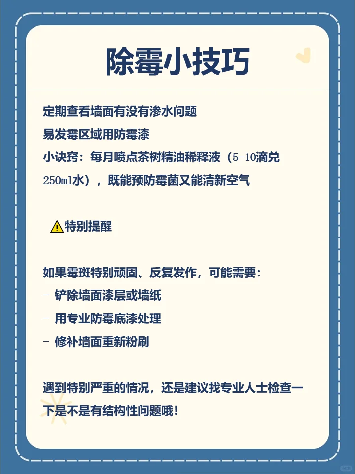 墙面霉斑怎么去除？小白必看