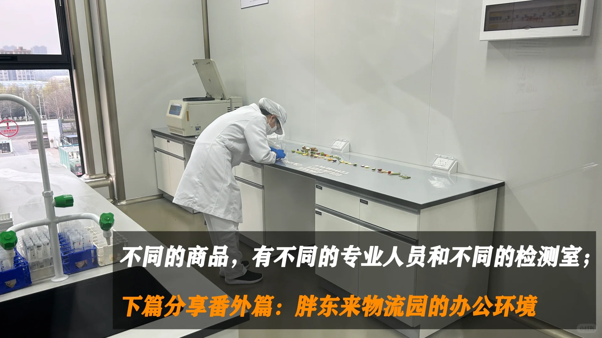 胖东来可以不开遍全国，但他的学生会