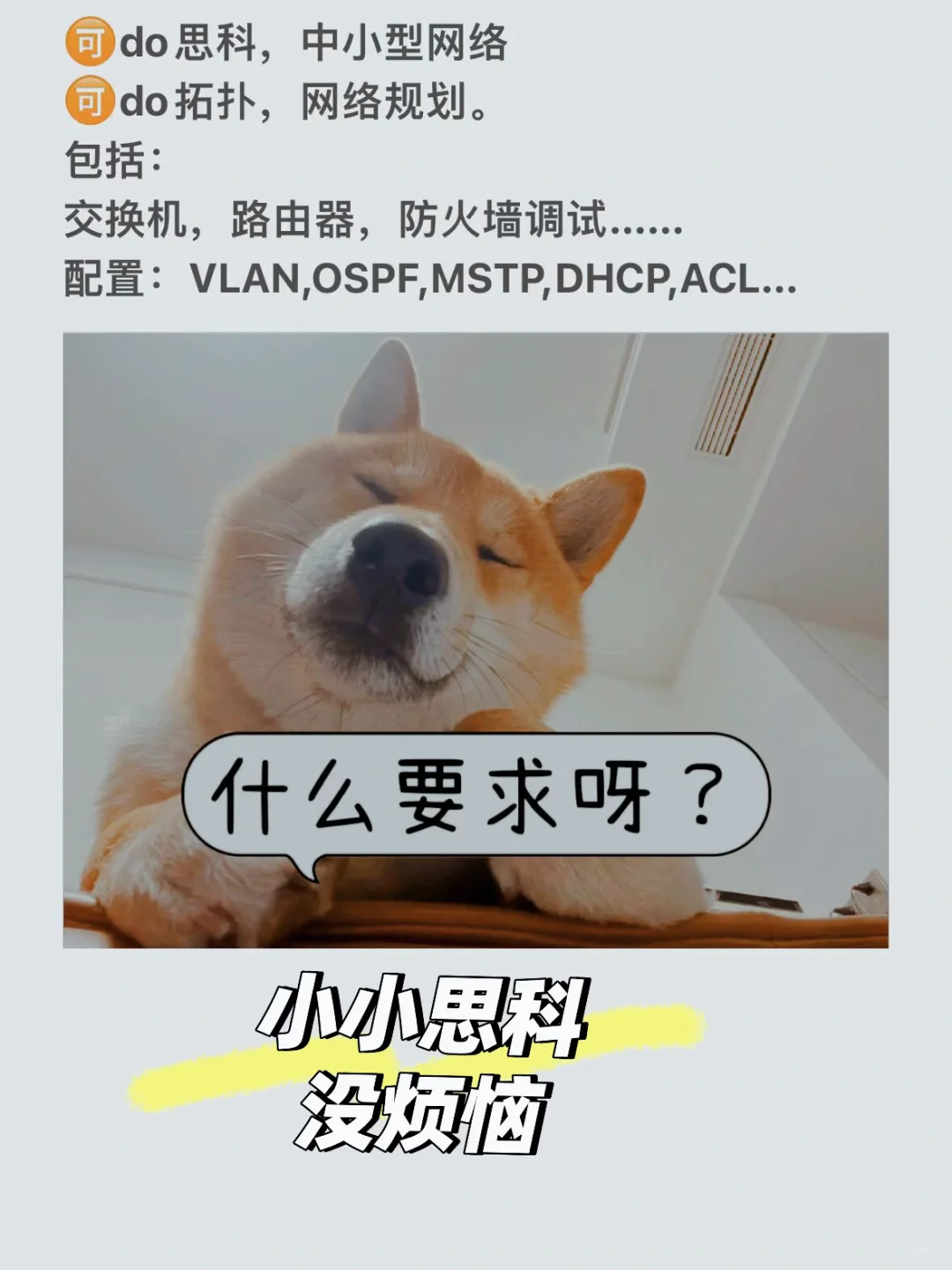 计算机思科网络搭建～