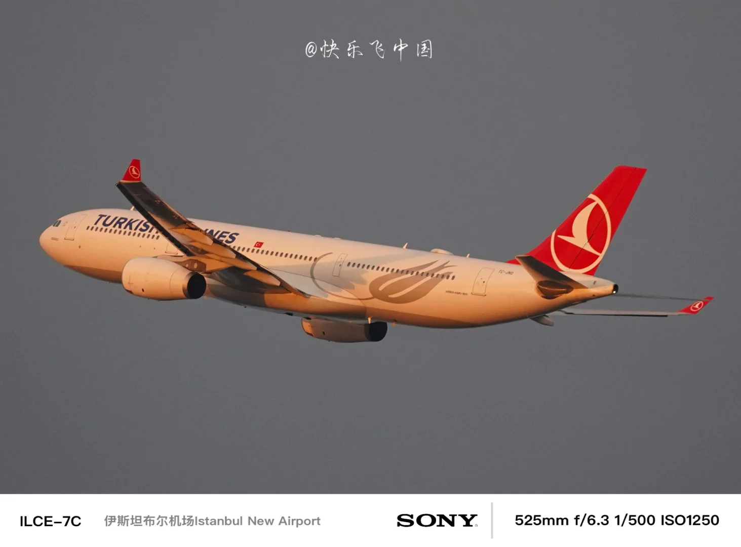 天马航空的A333宽体梦，土耳其航空，“圆了”❗️