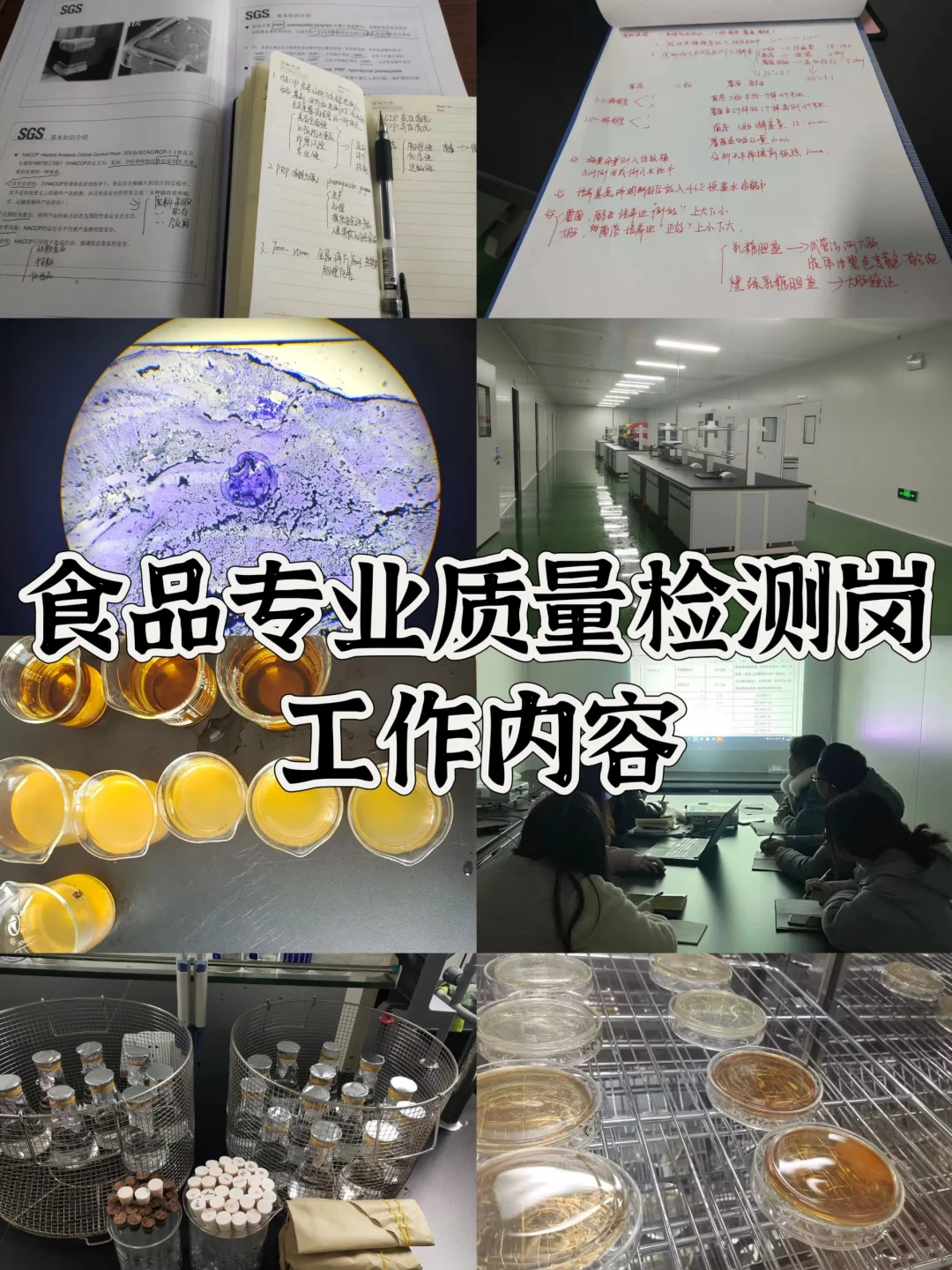 食品专业质量检测工作内容