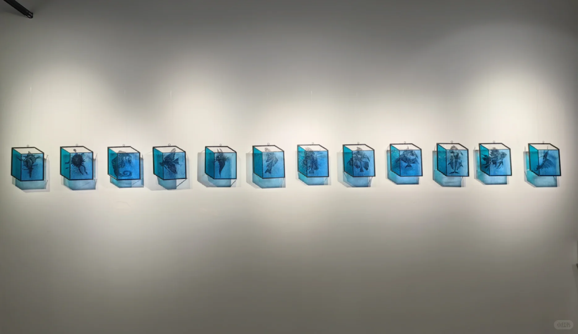 陶瓷与玻璃专业|2025景德镇陶瓷大学毕业展