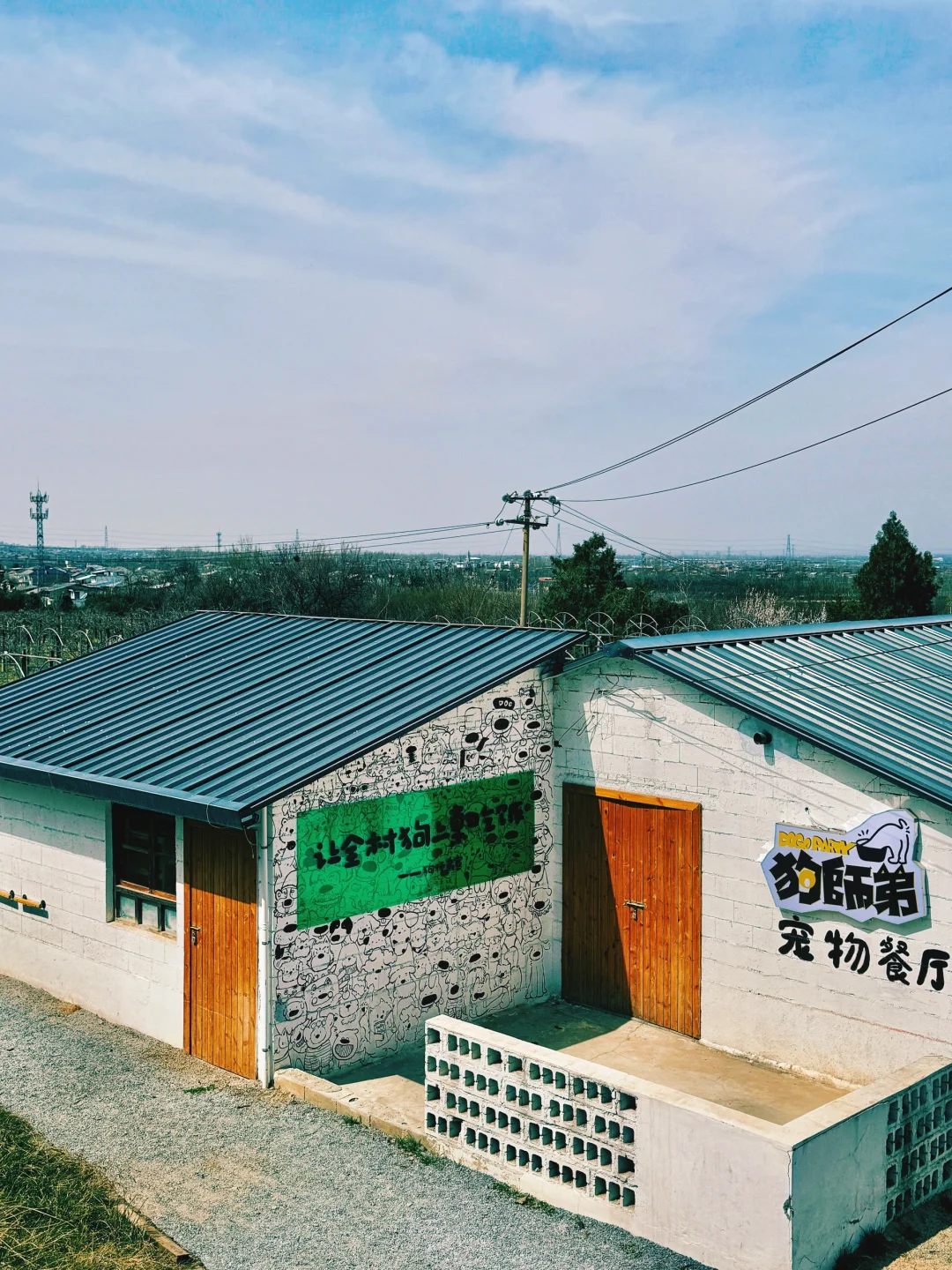 周末去哪|西安周边|超“减压”的city walk!