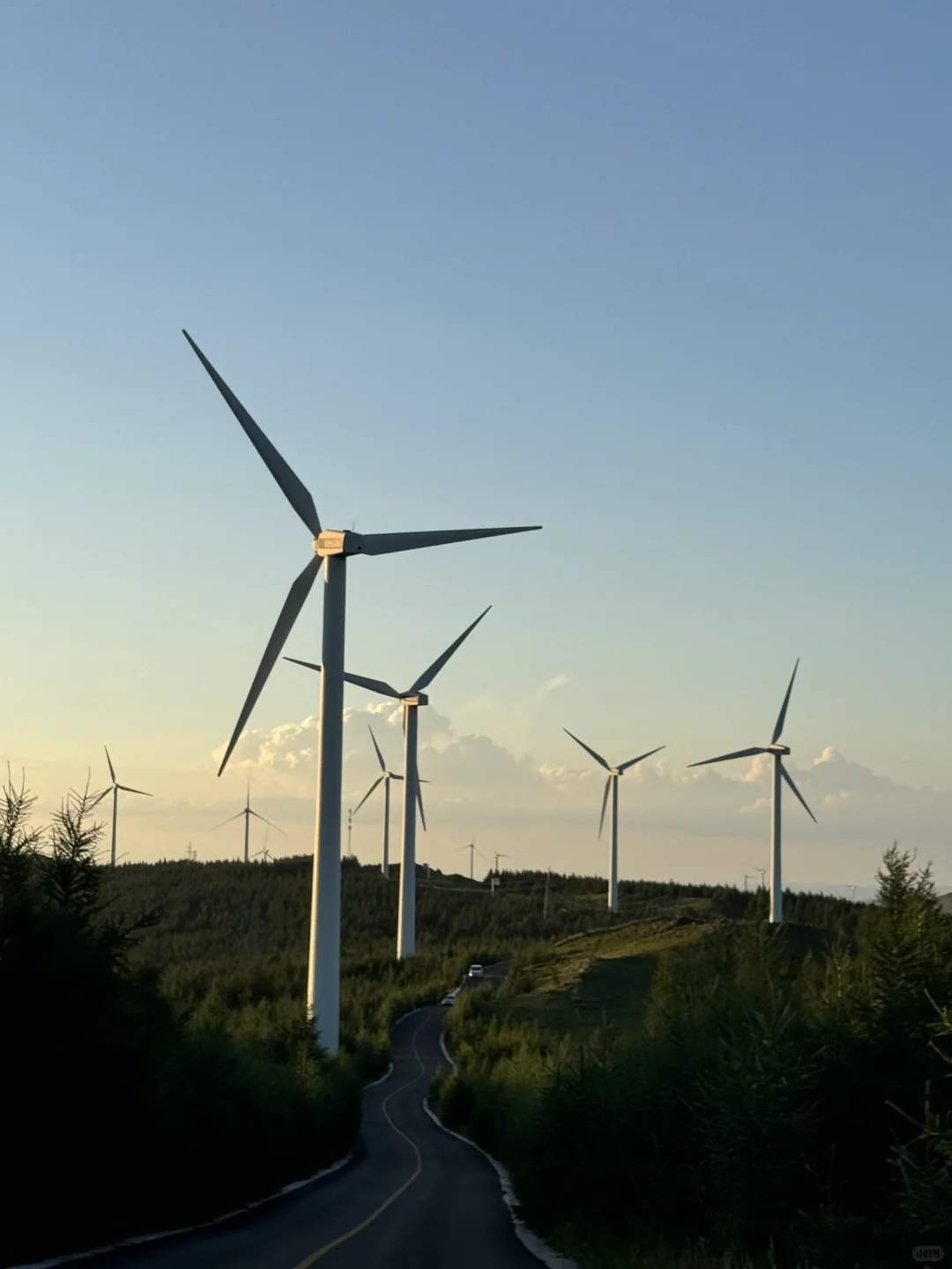 风车清楚每阵风的来意