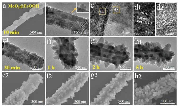 22年的一篇Advanced science 多级异质界面